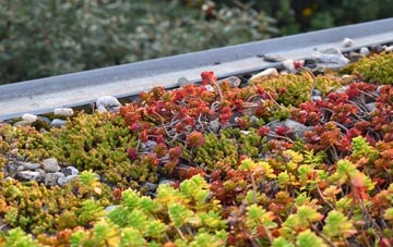 the cost of Lochhill green roof installation