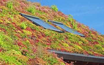 Lochhill living roof systems