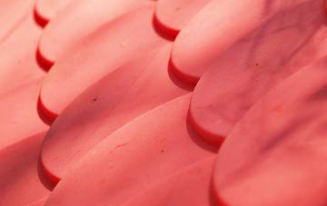 Lochhill plastic roof costs